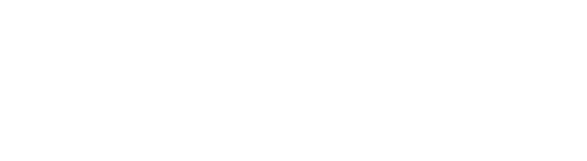 Holovise